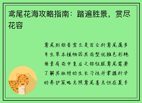 鸢尾花海攻略指南：踏遍胜景，赏尽花容
